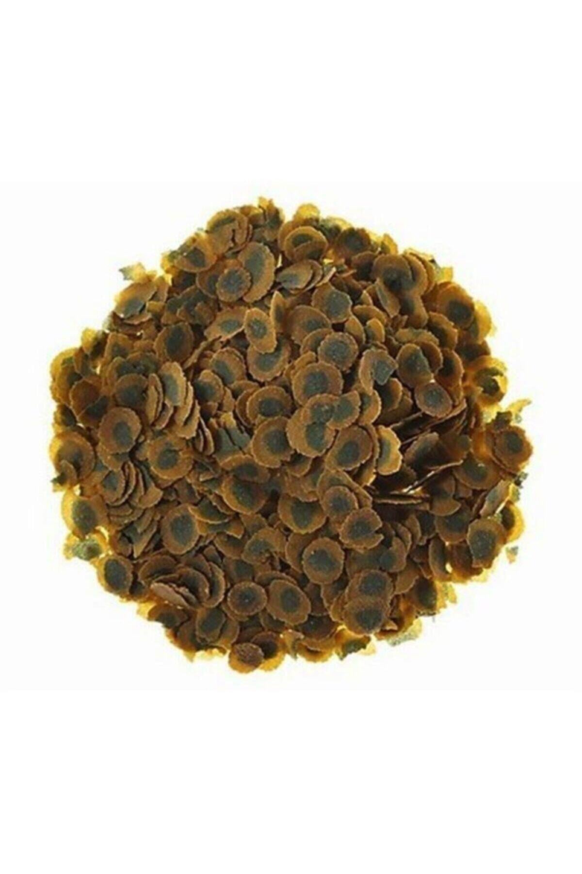 Tetra Pro Algae 250 Gram Bitkisel Balık Yemi - İkizler Yem MarketTetra Pro Algae 250 Gram Bitkisel Balık Yemi