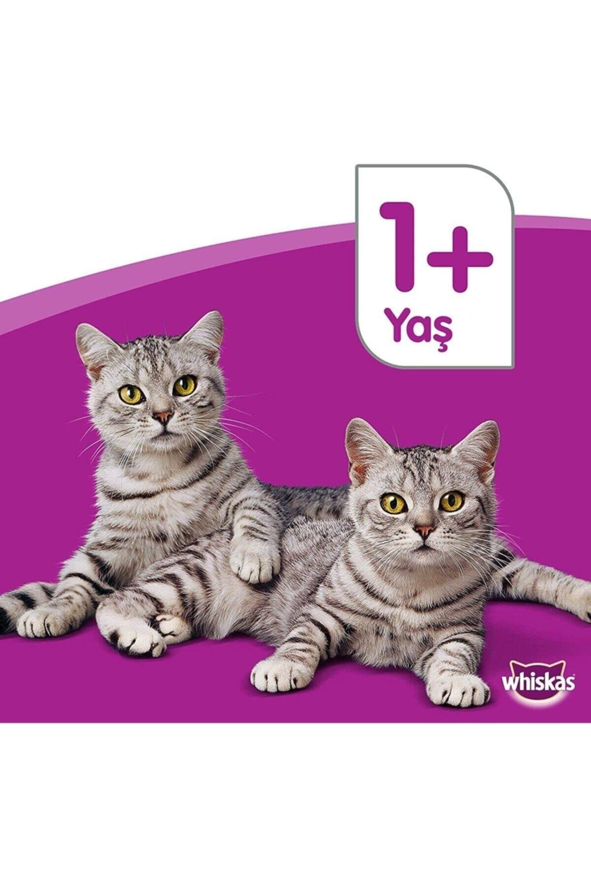 Whiskas Kümes Hayvanı Çeşitleri Jöleli Kedi Pounch 4 x 85 gr - İkizler Yem MarketWhiskas Kümes Hayvanlı Jöleli Kedi Pouch 4x85gr