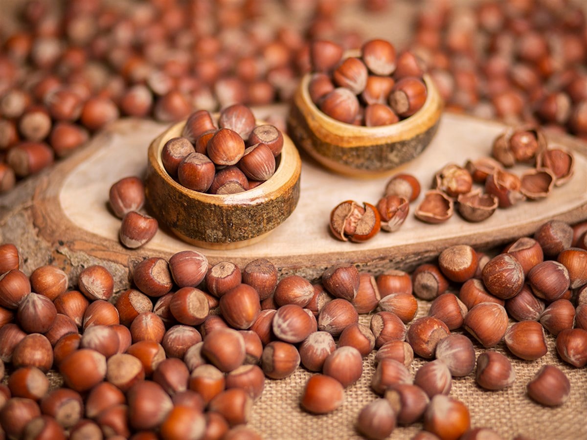 Foşa Fındık - Ziya Efendi