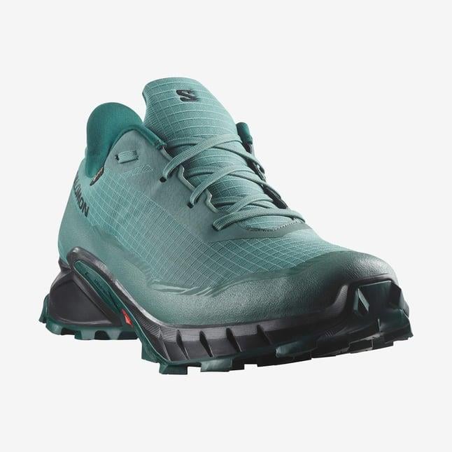 Salomon Alphacross 5 Gtx Erkek Koşu Ayakkabısı