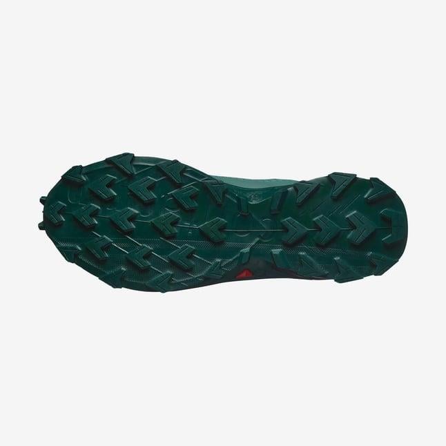 Salomon Alphacross 5 Gtx Erkek Koşu Ayakkabısı