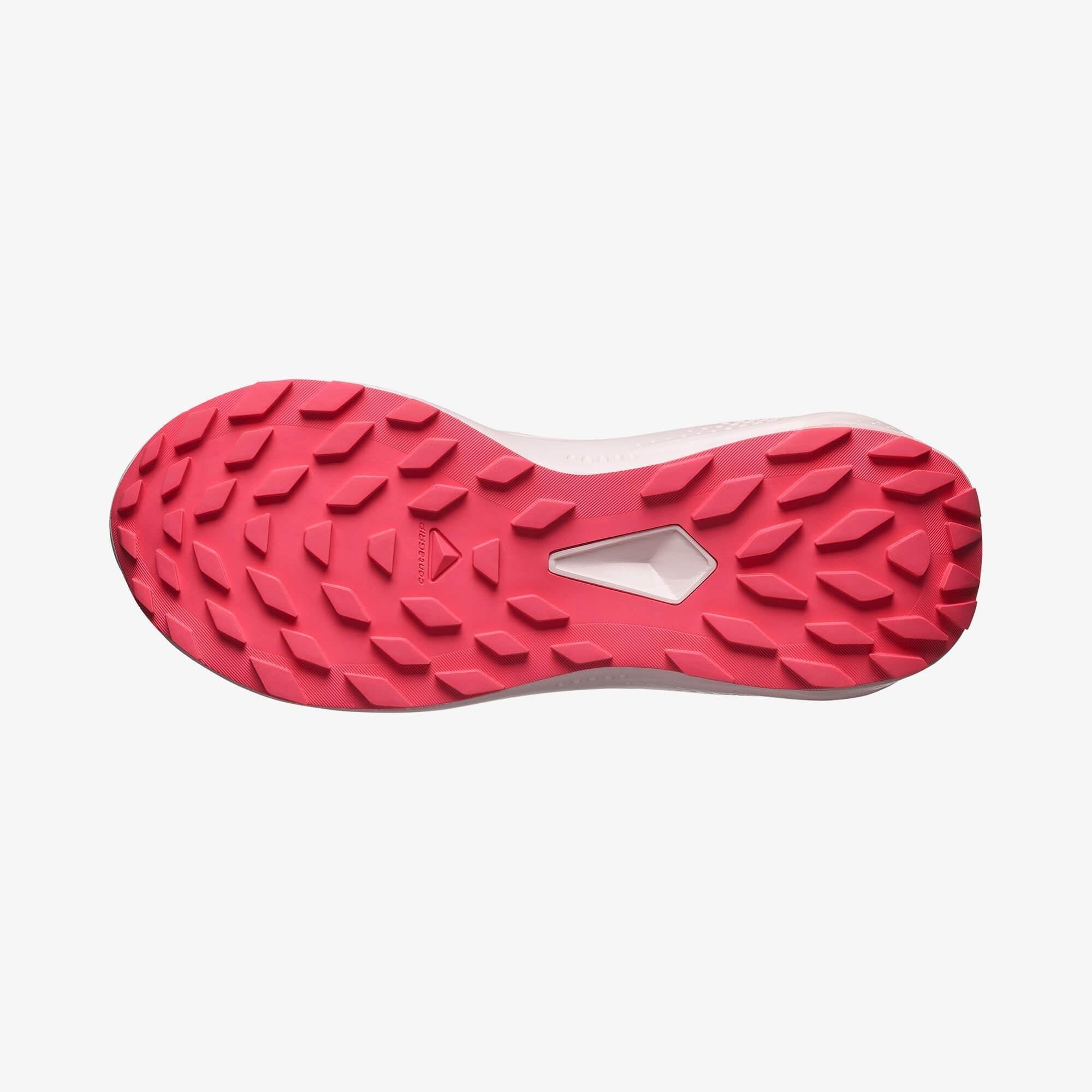 Salomon Alphaglide Gore-Tex Kadın Koşu Ayakkabısı