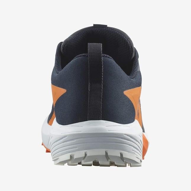 Salomon Sense Ride 5 Gtx Erkek Koşu Ayakkabısı