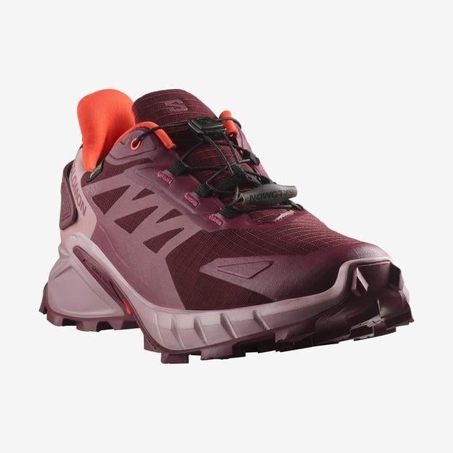 Salomon Supercross 4 Gtx W Kadın Koşu Ayakkabısı