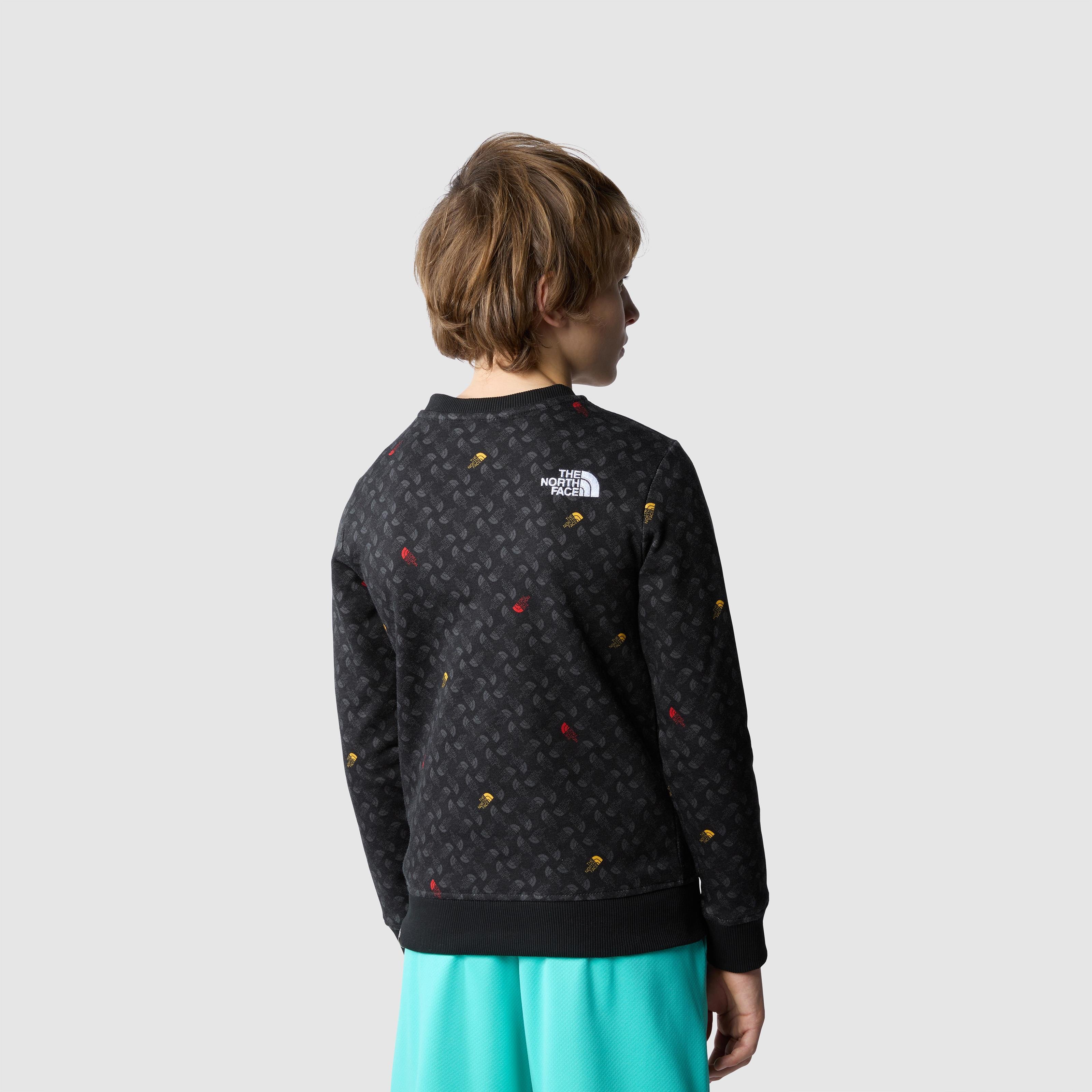 The North Face B Drew Peak Light Crew Print Erkek Çocuk Sweatshirt
