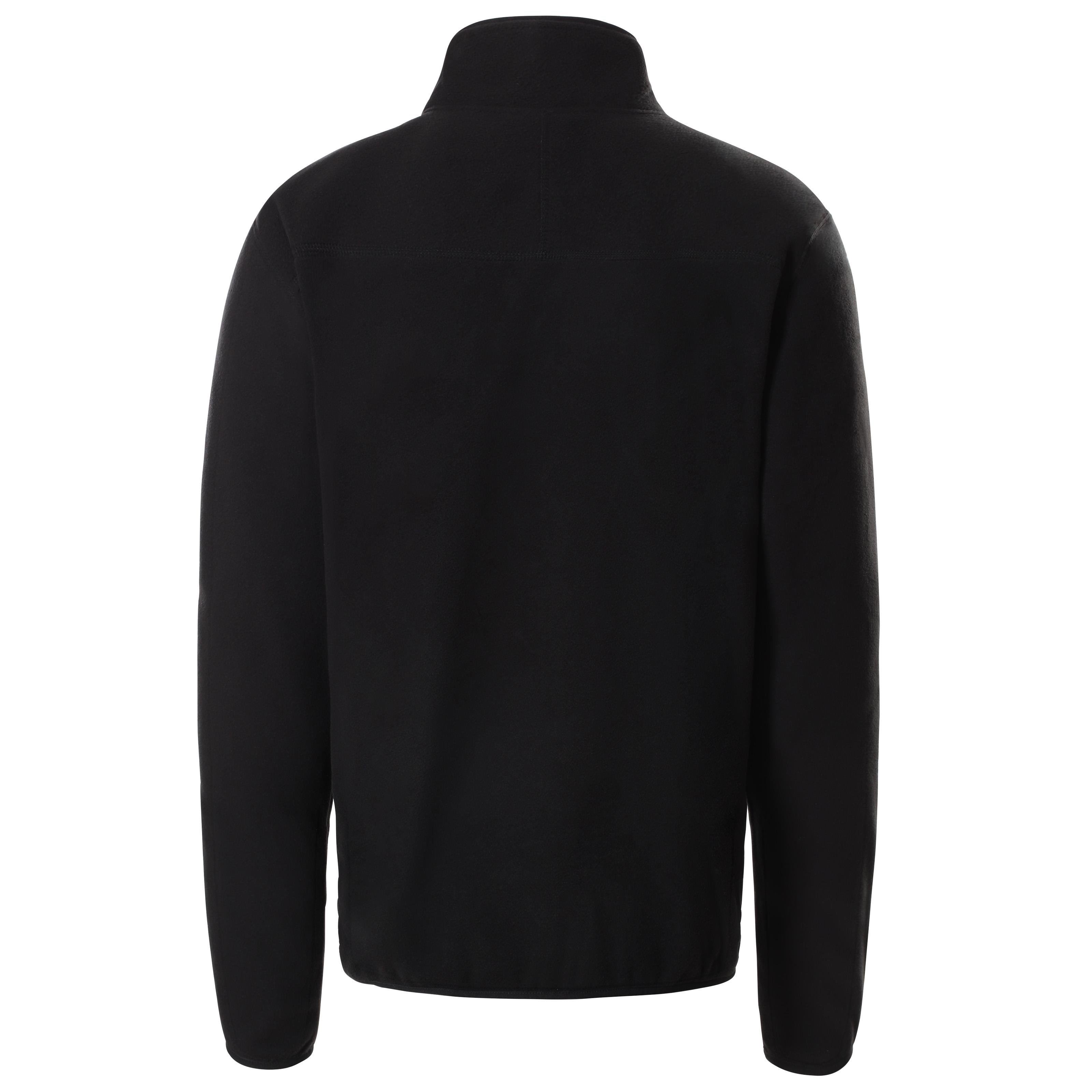 The North Face Erkek Polar 100 Glacier 1/4 Zp