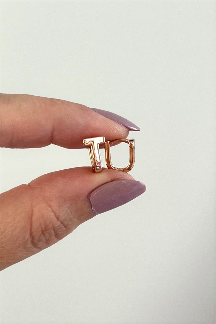 Mini T Motifli Oval Küpe Çifti | Çelik