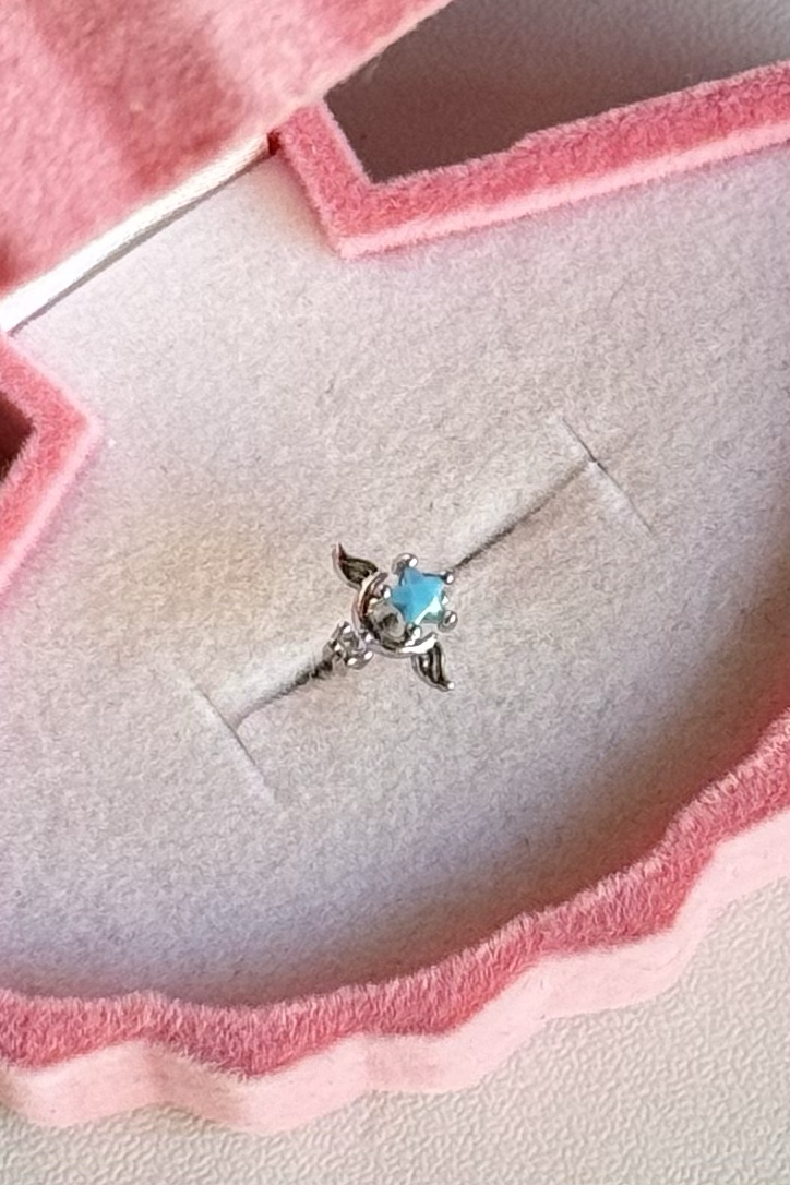 Sailor Moon Piercing Cerrahi Çelik