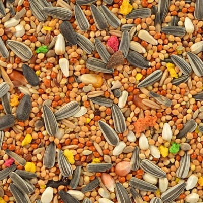 Paraket, Sultan, Cennet Papağanı Yemi 500 gr