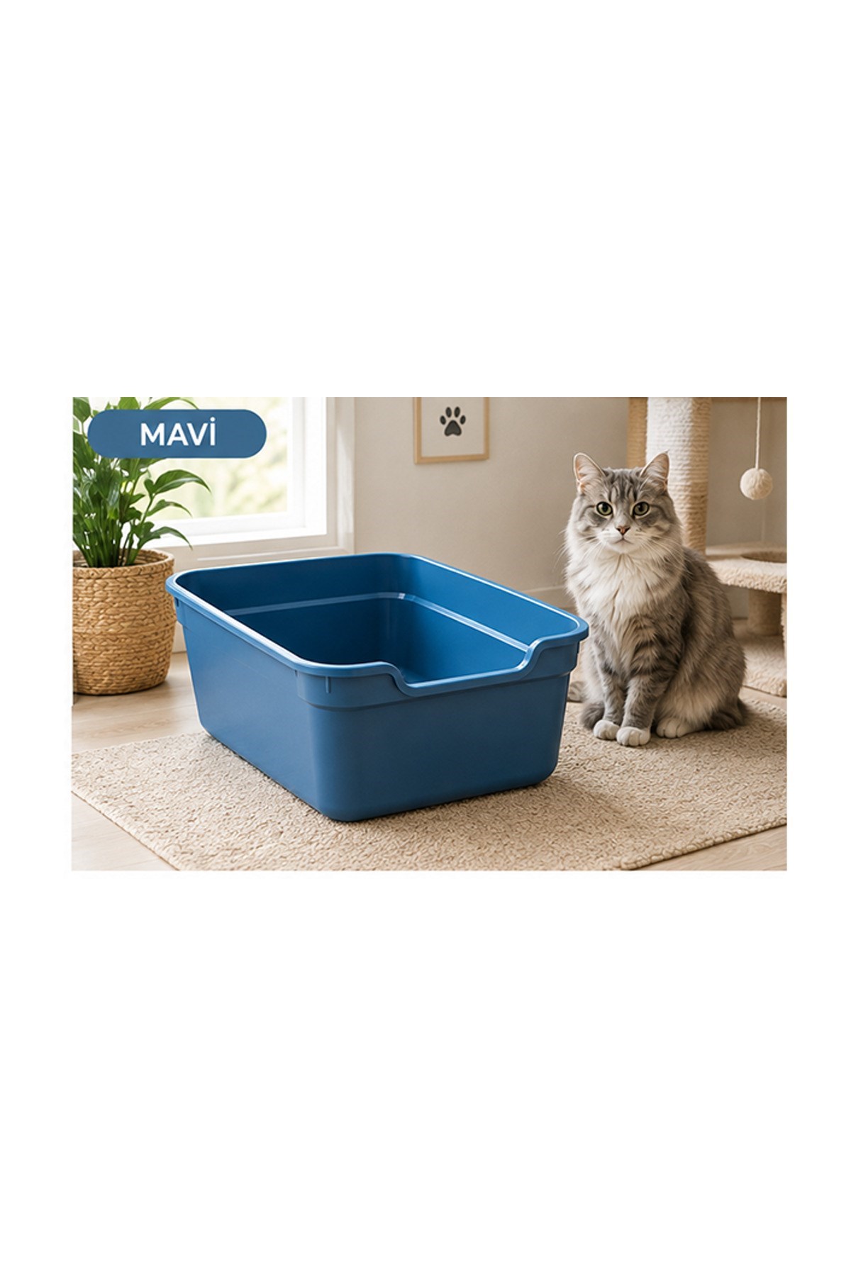 Pribor Kedi Tuvalet Açık Geniş, Pratik Ve Kolay Temizlenebilir 49 x 38 x 18,5 cm Lacivert