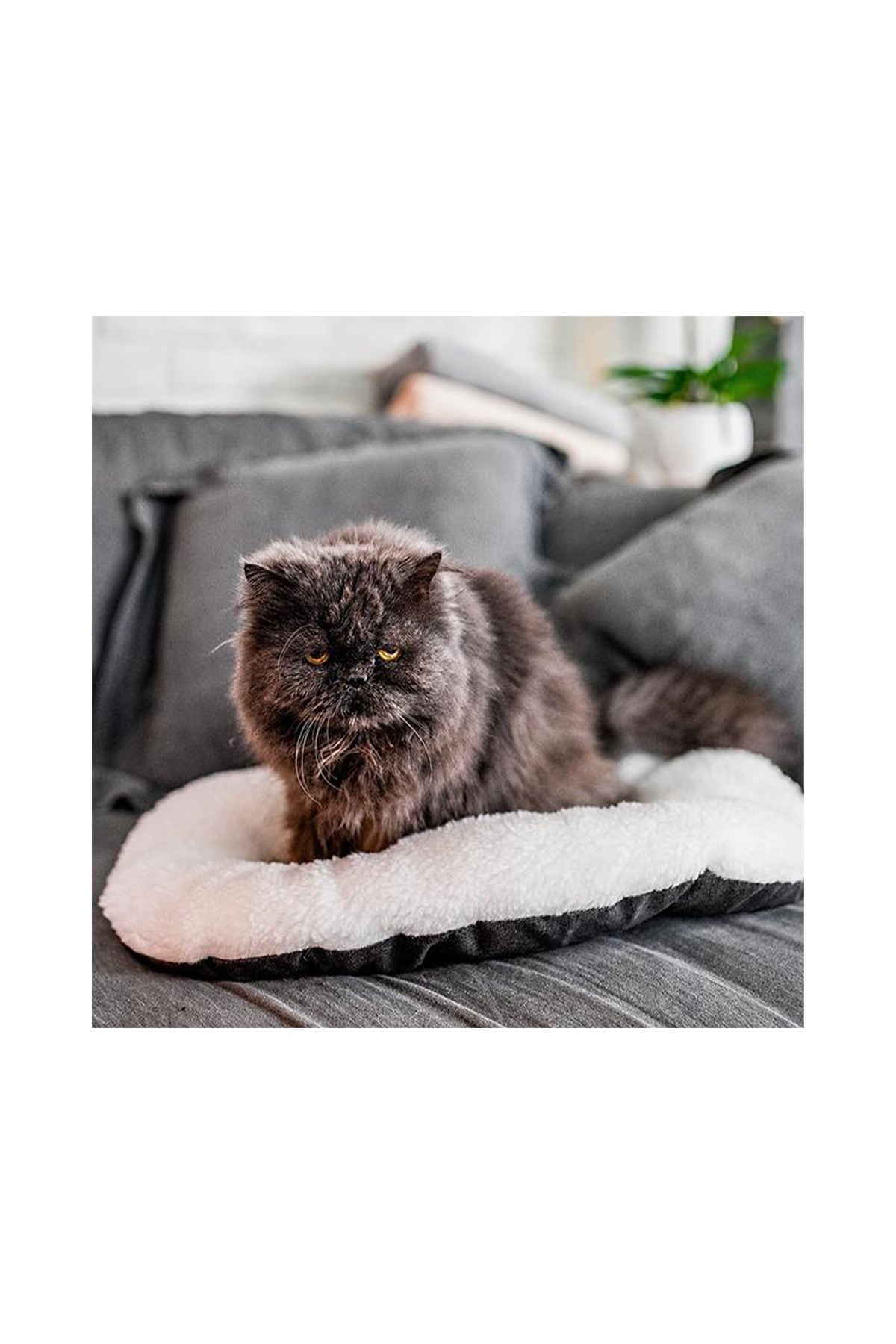 Pribor Kedi ve Mini Irk Köpek Peluş Yatağı - Gri-Beyaz (55 cm x 36 cm)