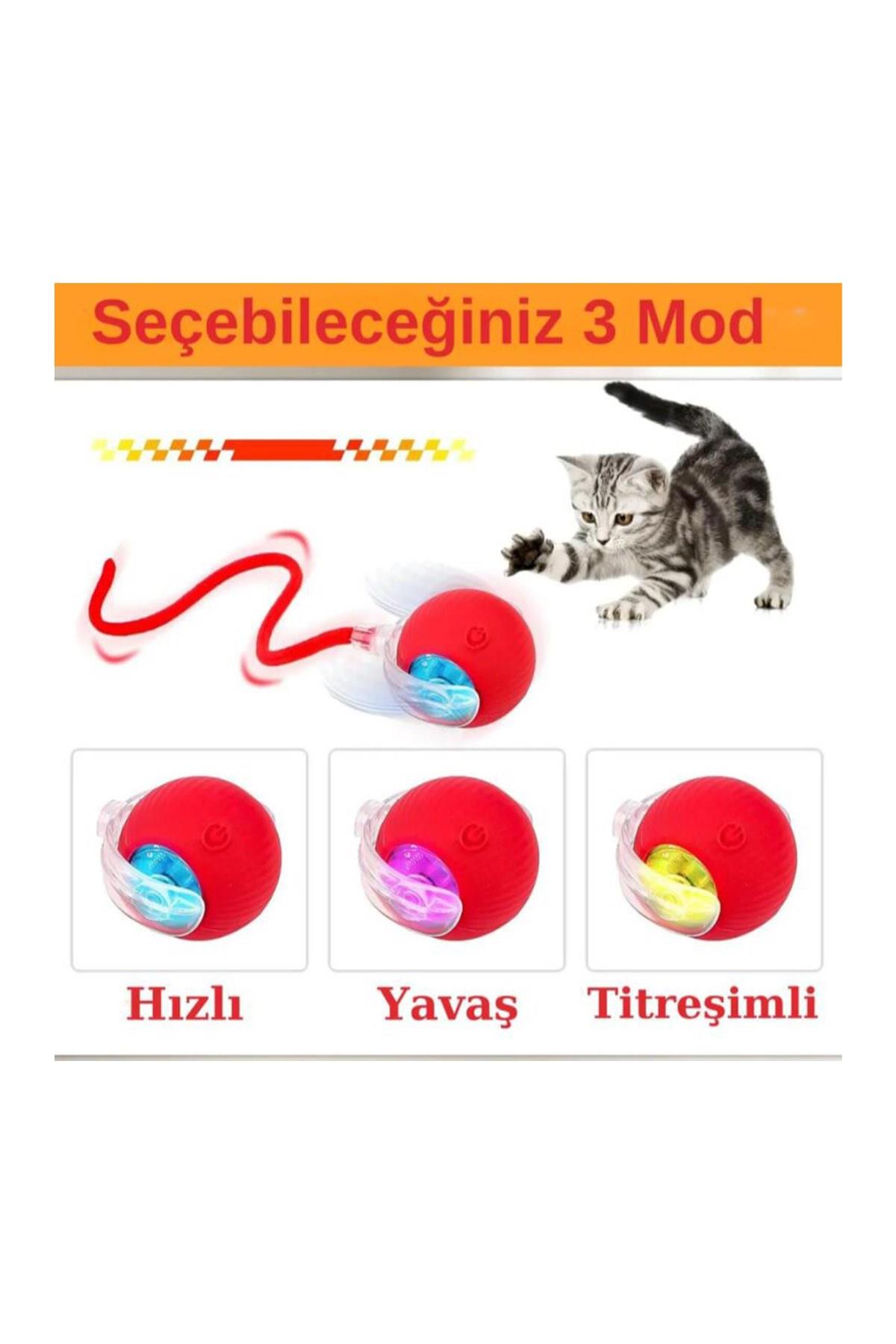 Pribor Kediler ve Köpekler için Kuyruklu Etkileşimli Oyun Topu, İpli USB Şarjlı 3 Modlu 1 Adet