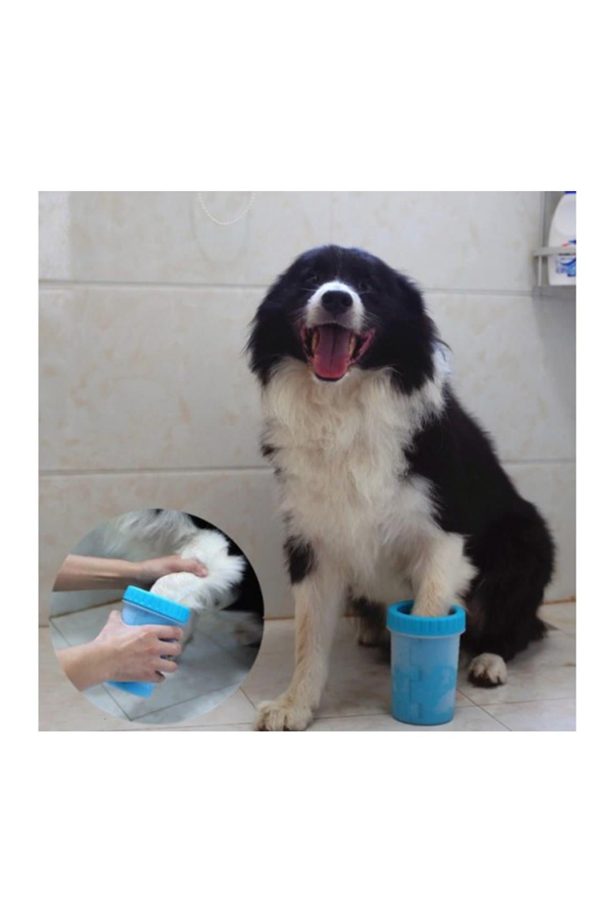 Pribor Küçük Irk Köpek & Kedi Pati Ayak Yıkama Kovası Silikon Jel Fırçalı Pati Temizleme Bardak 11x9