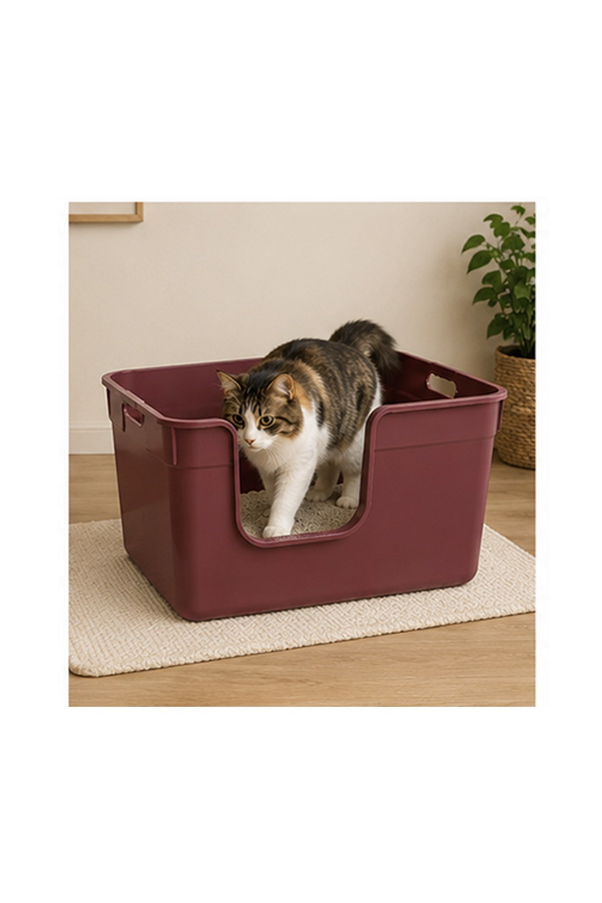 Pribor Yüksek Kenarlı Yarı Açık Kedi Tuvaleti, Geniş ve Kolay Temizlenebilir 54 x 40 x 32 cm Bordo