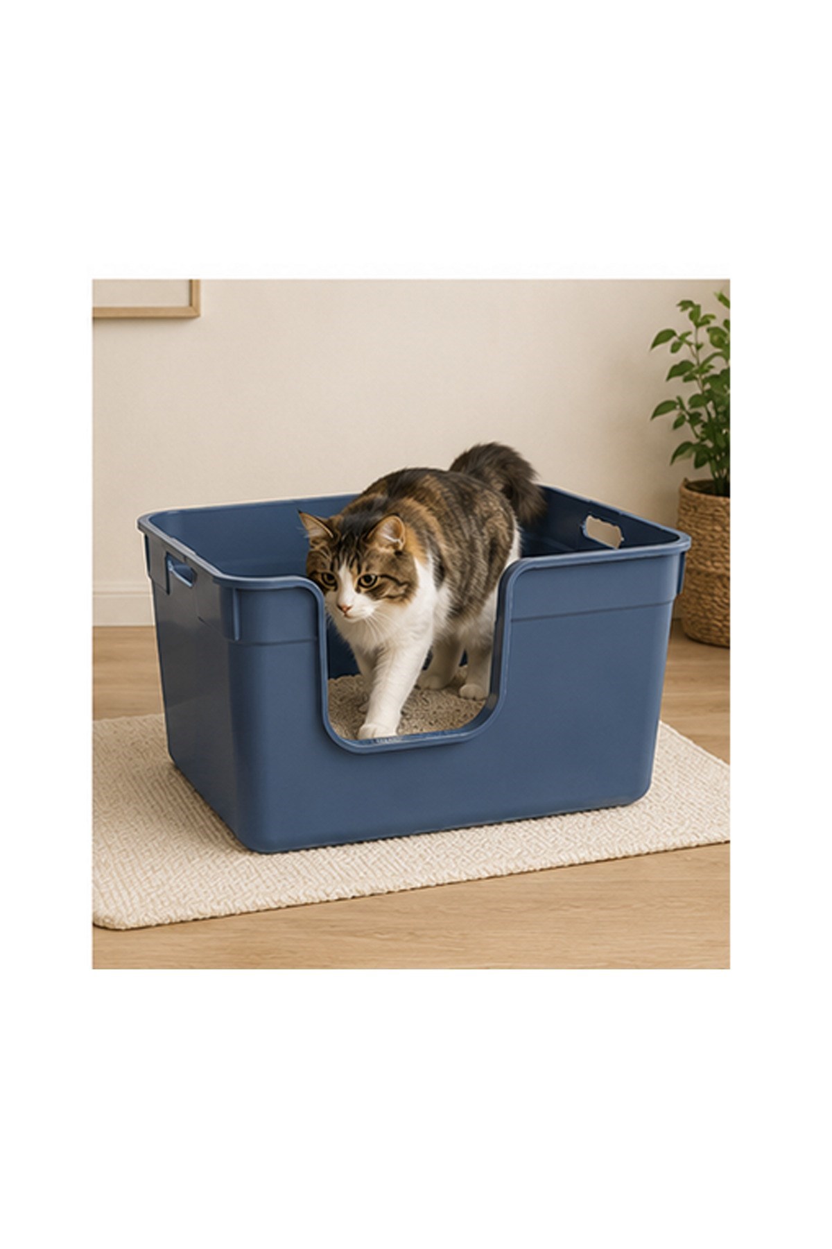Pribor Yüksek Kenarlı Yarı Açık Kedi Tuvaleti, Geniş Ve Kolay Temizlenebilir 54 x 40 x 32 cm Mavi