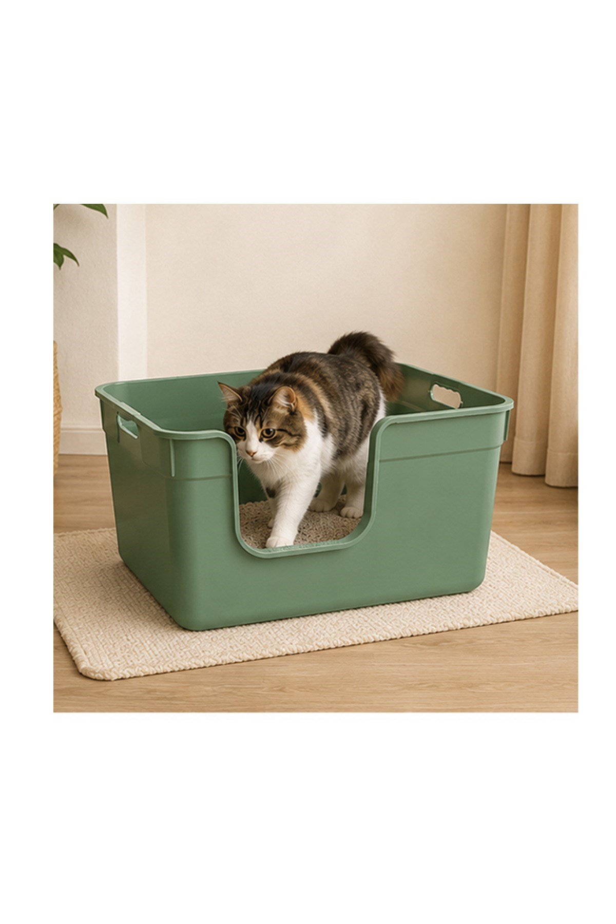 Pribor Yüksek Kenarlı Yarı Açık Kedi Tuvaleti, Geniş Ve Kolay Temizlenebilir 54 x 40 x 32 cm Yeşil