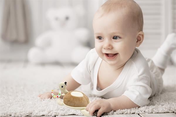BBJ.8193Babyjem Çıngıraklı Kaplumbağa