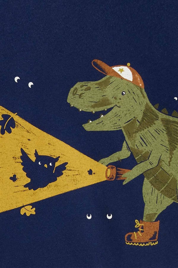 Carters Erkek Bebek Dinozor Desenli 2'Li Takım