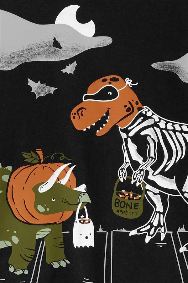 Carters Erkek Çocuk Dinozor Desenli 2'Li Takım