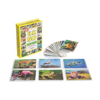 Diytoy F.Cards Yaşam Alanlarında İlk 50 Hayvan