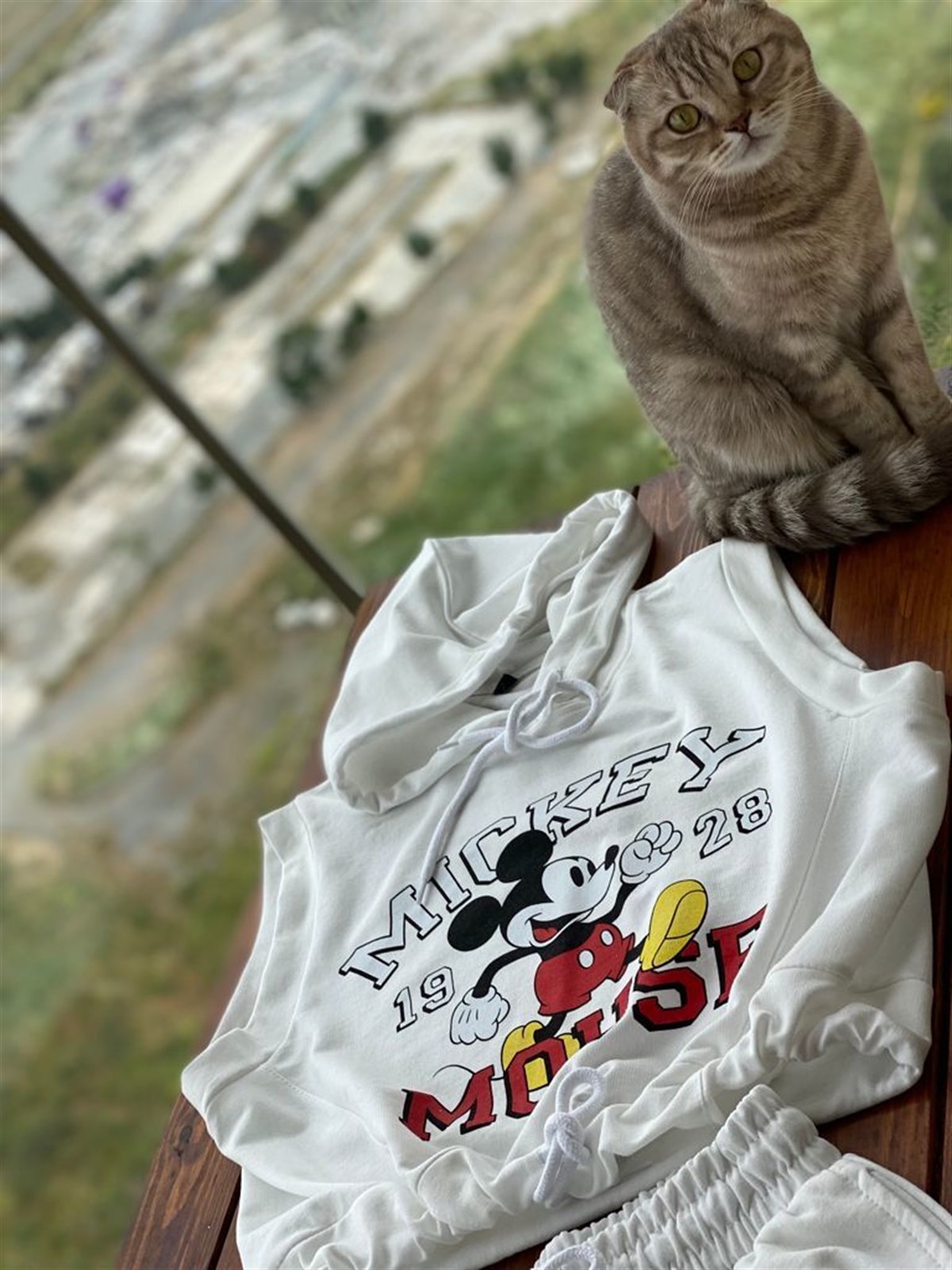 Kapşonlu Mickey Baskılı Şortlu Takım (Beyaz)