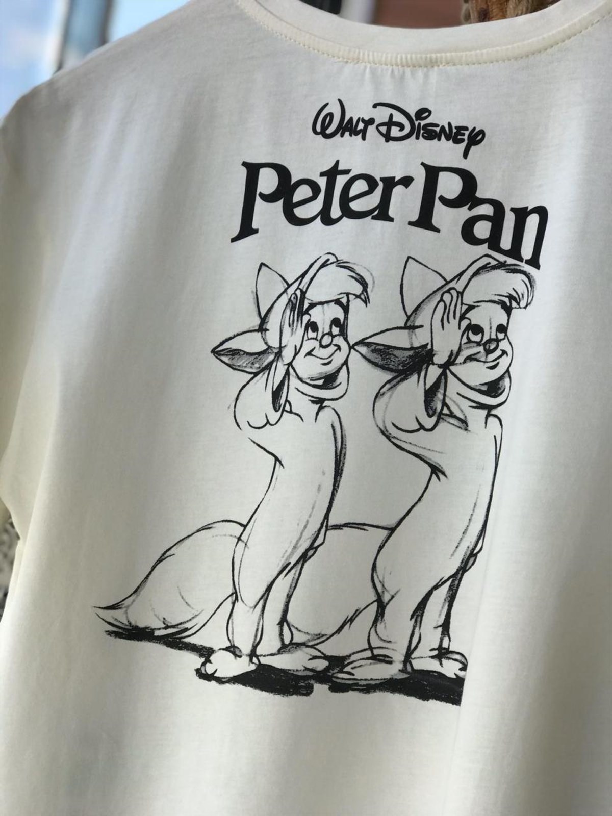 Peter Pan Desenli Sırt Detaylı Dokuma Penye Kumaş Tshirt