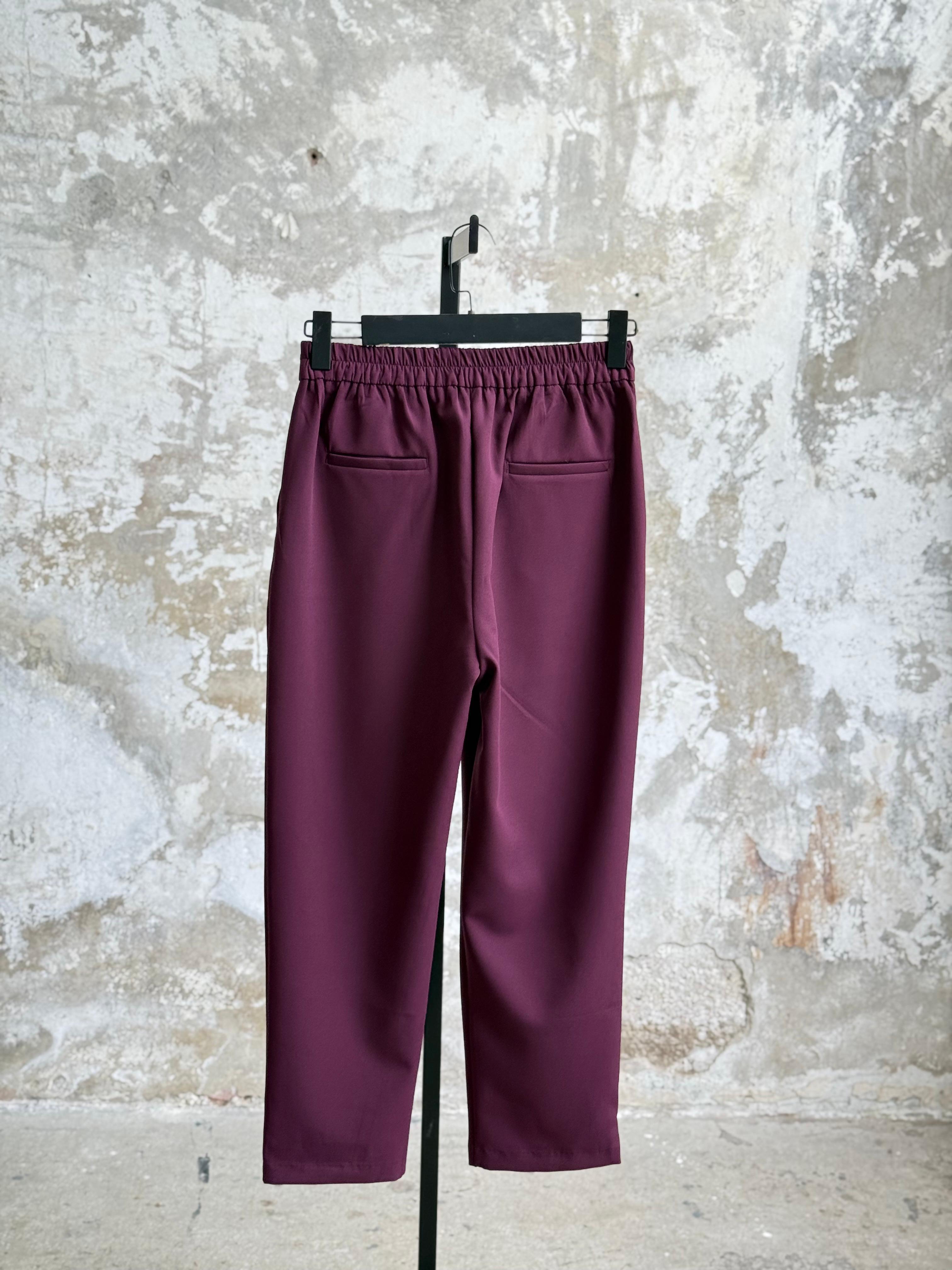 Sırt Lastik Detaylı Havuç Model Pantolon (Mürdüm)