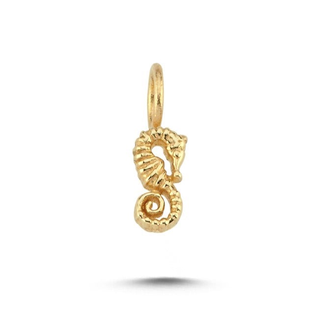 charm-achrm0077--4e21-.jpg