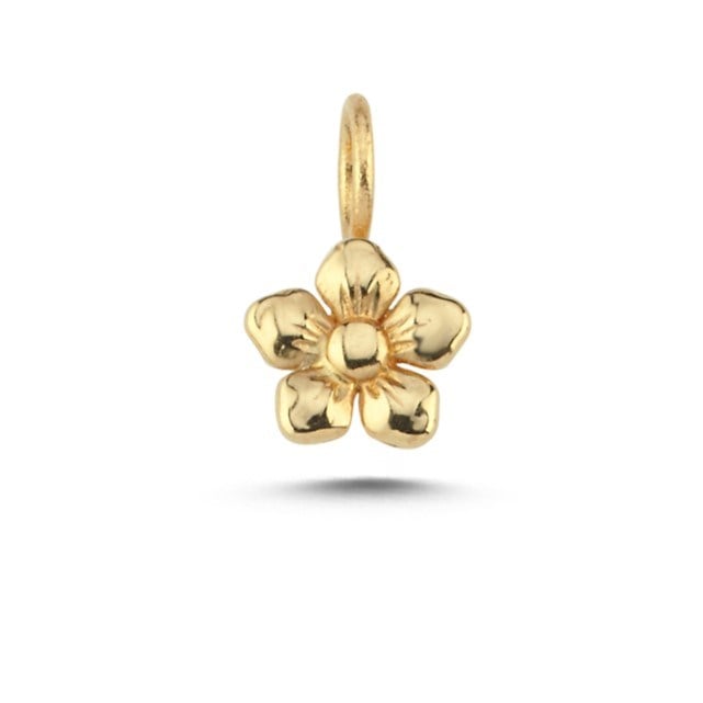 charm-achrm0648--4293-.jpg