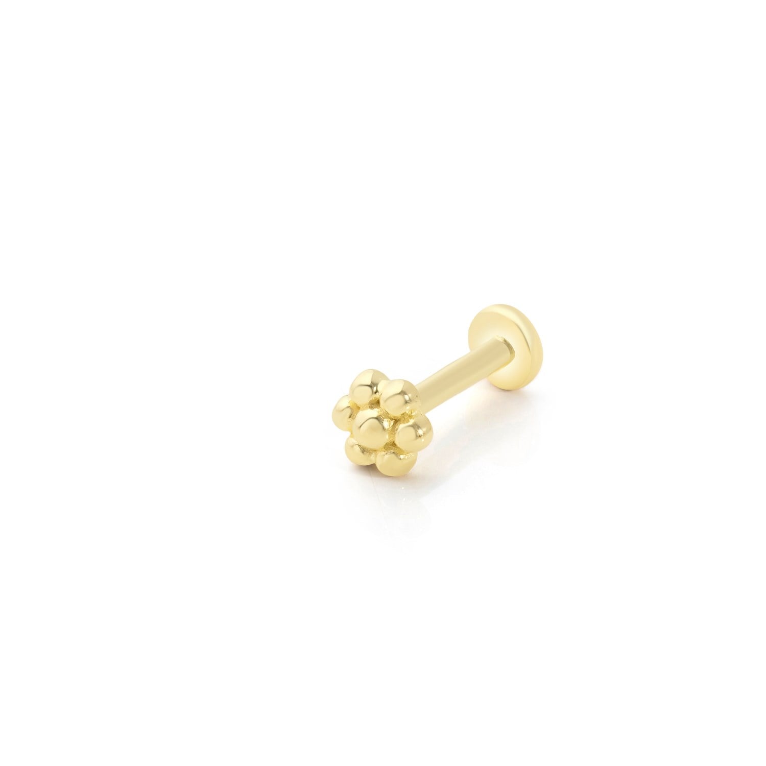 piercing-prc0022-3edd7a.jpg