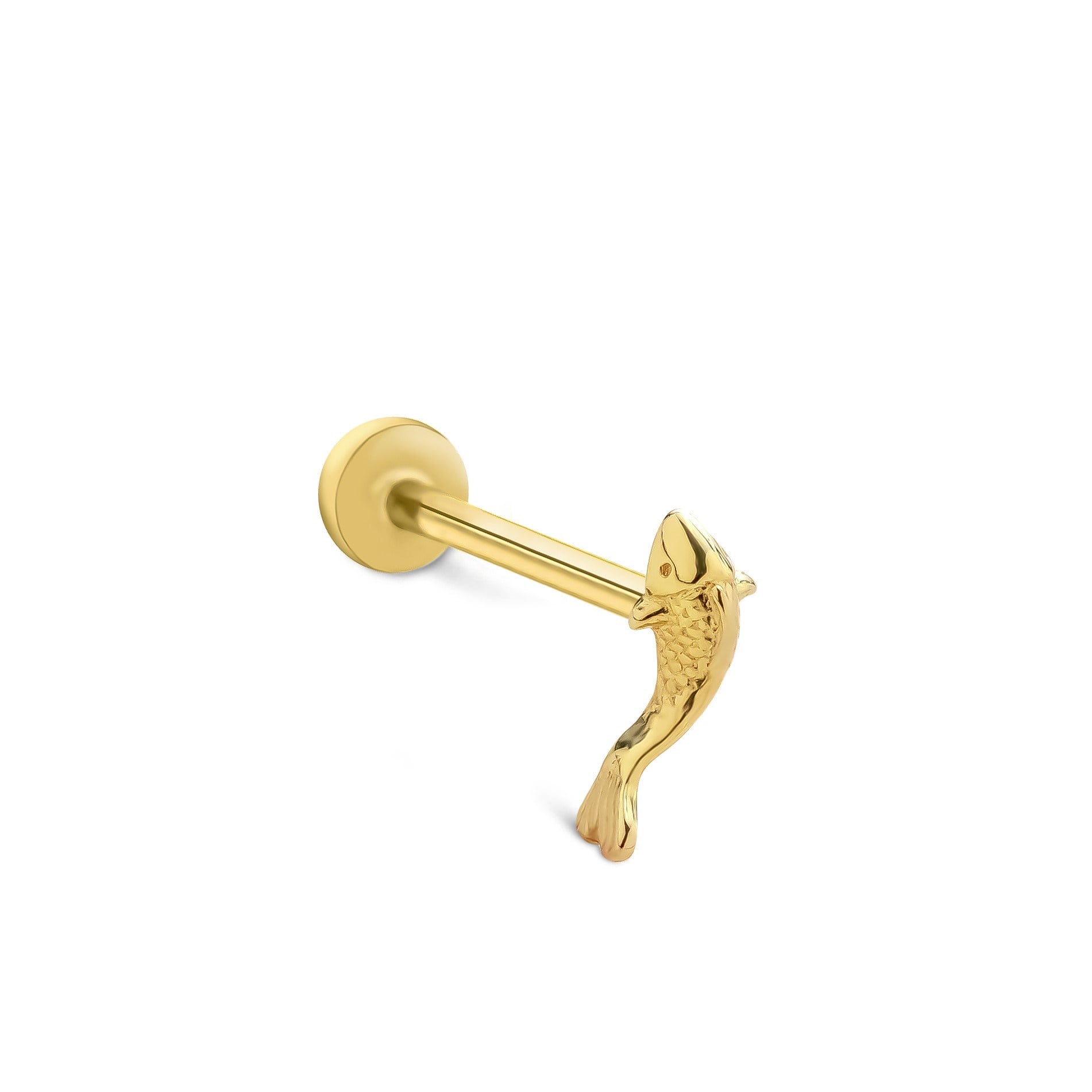 piercing-prc0570b-c6-55d.jpg