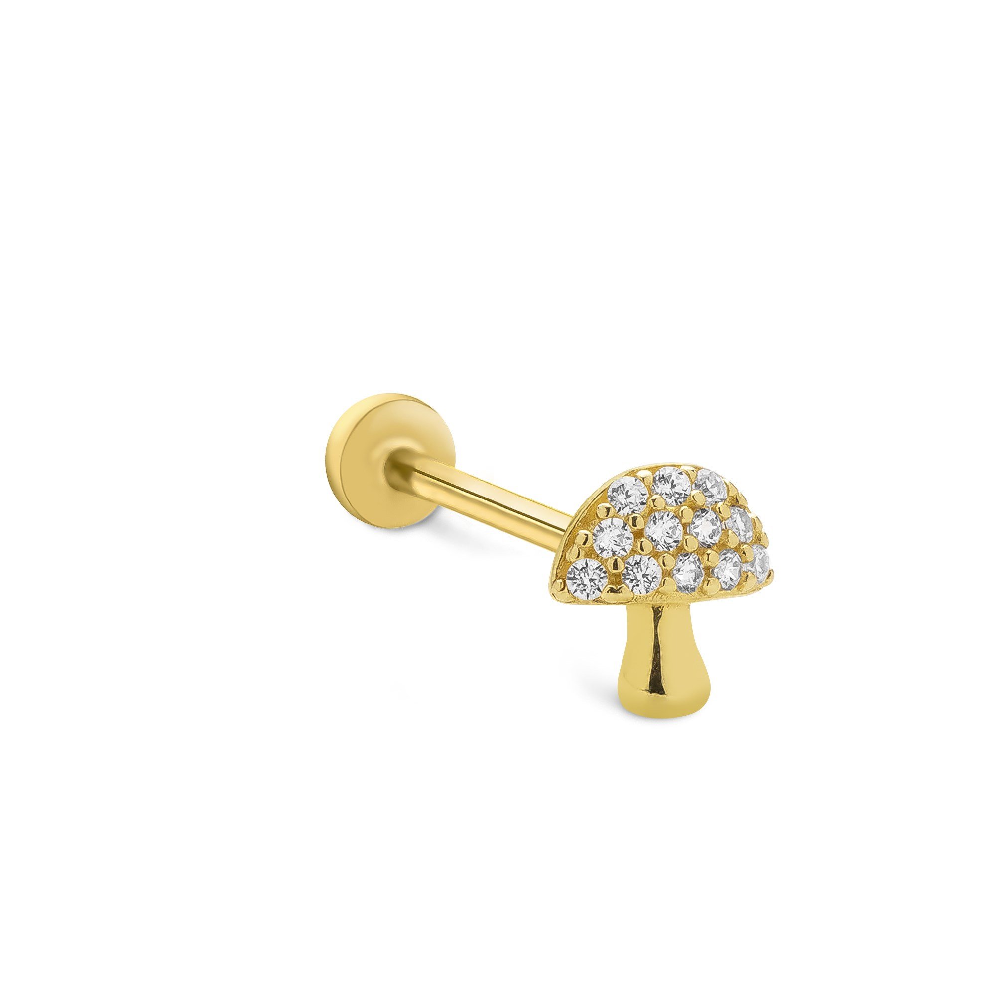 piercing-prc0576-a5de-5.jpg