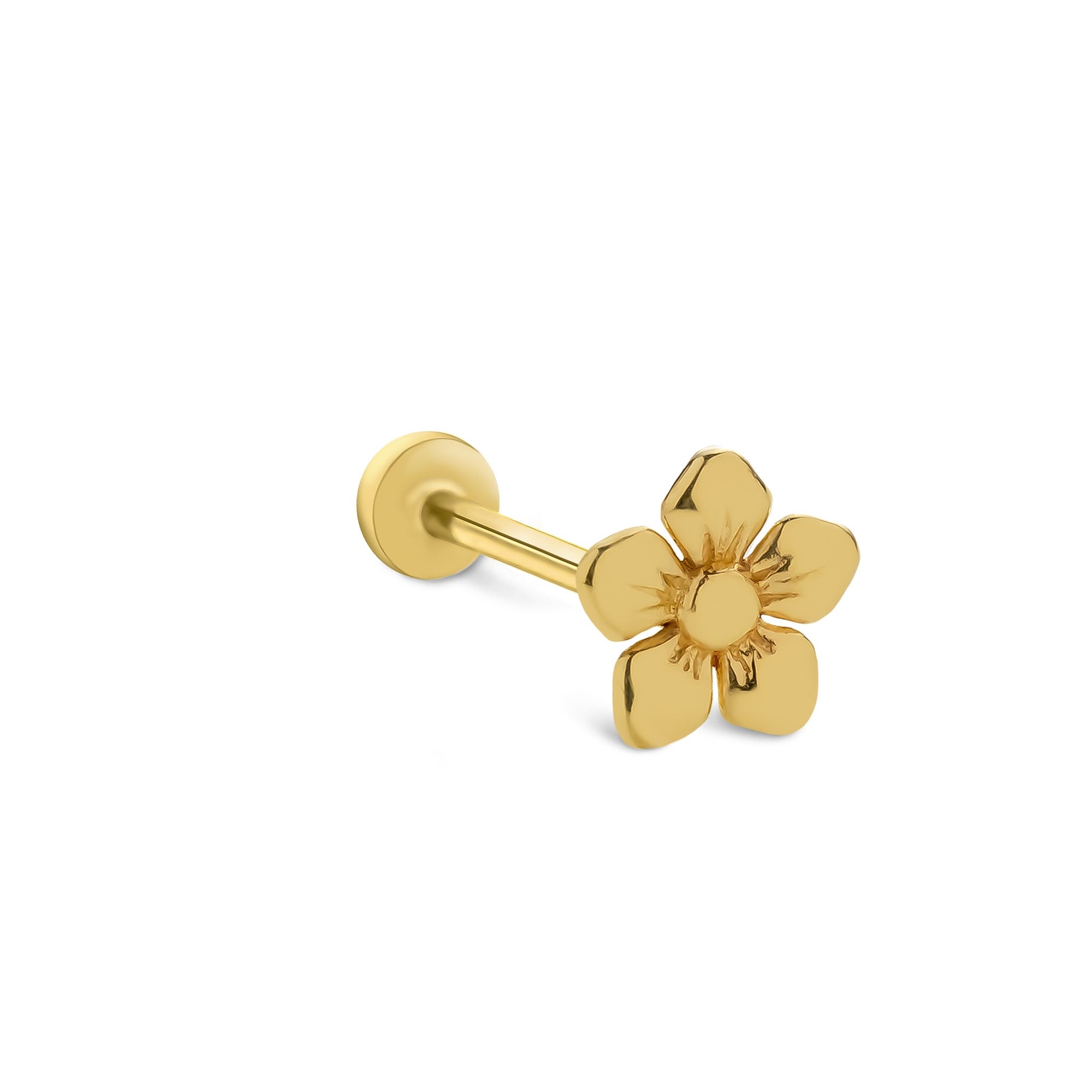 piercing-prc0648-3743f9.jpg