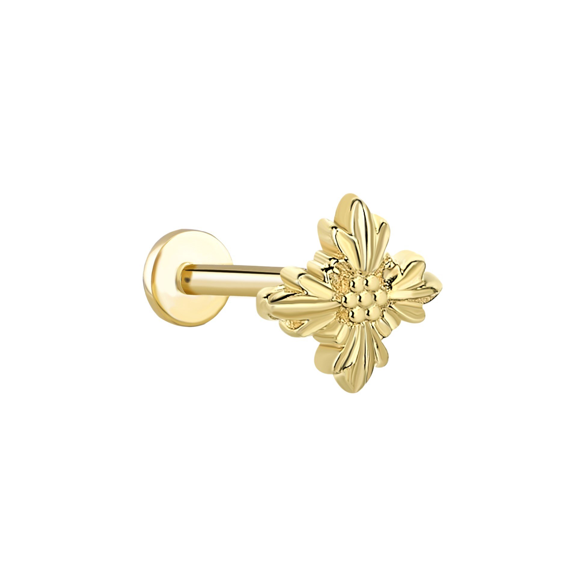 piercing-prc0798-3-4861.jpg