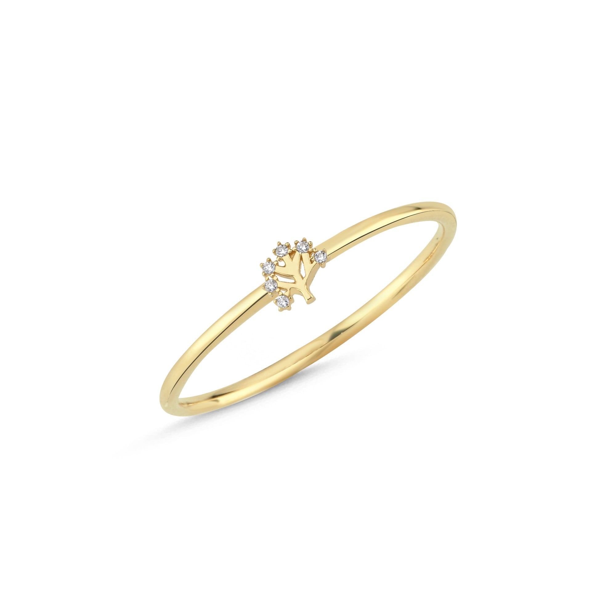 yuzuk-ayzk0793-1b25db.jpg