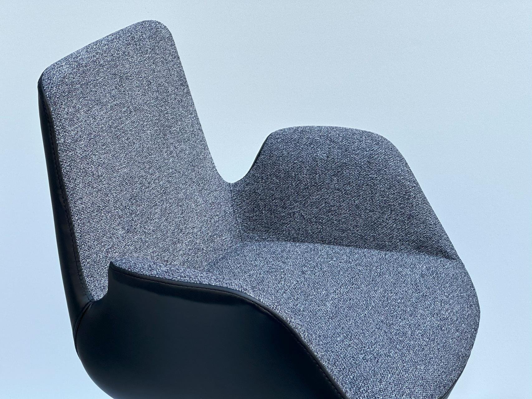 Dora Çalışma Koltuğu , Yeni Antrasit