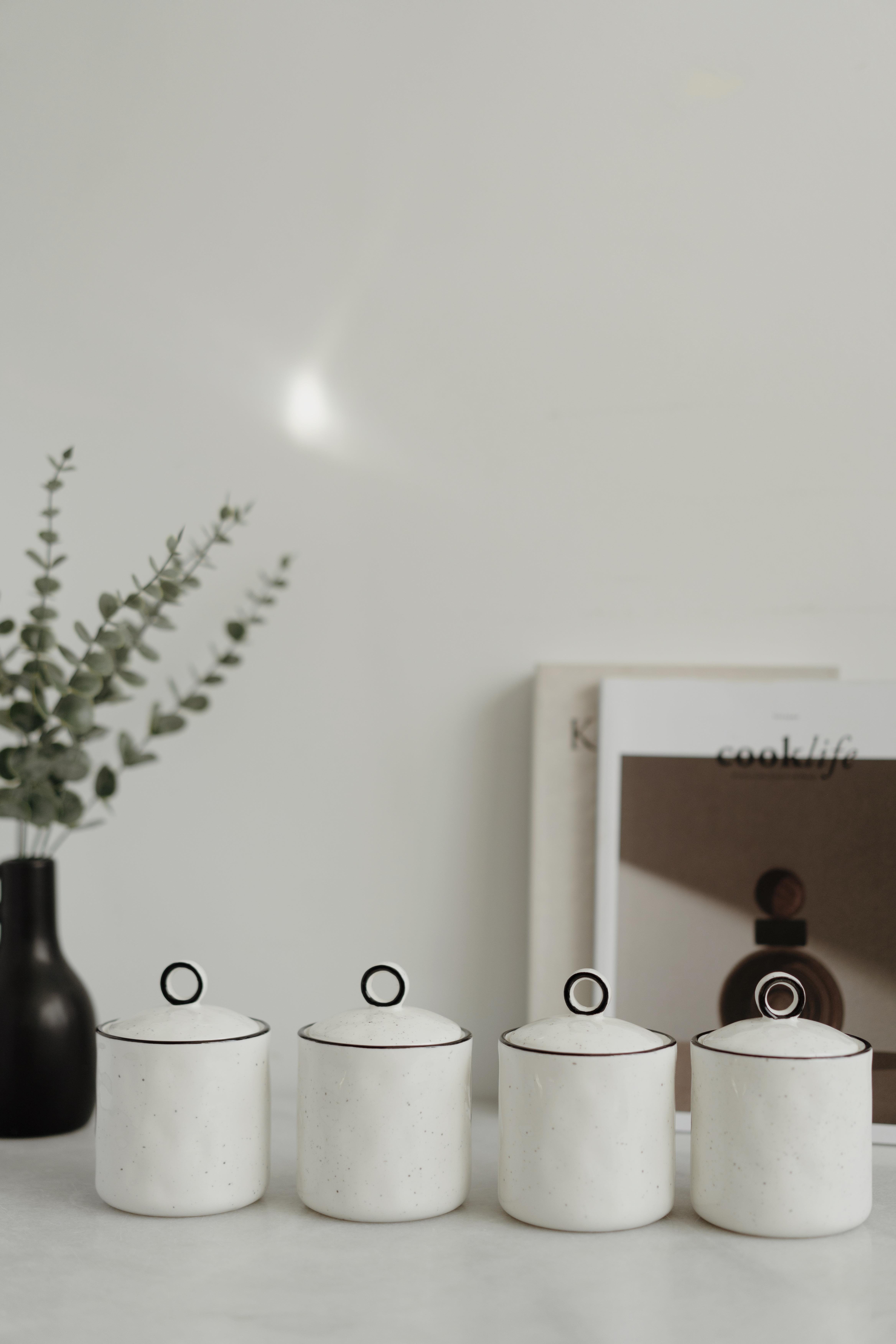 Arya 4'lü  Vakum Kapaklı Porselen Baharatlık Seti