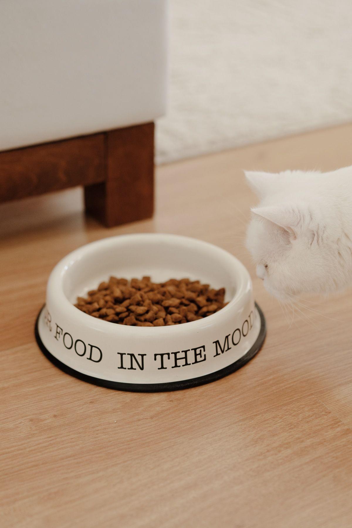 Emaye Kedi Köpek Mama Ve Su Kabı (krem renk)