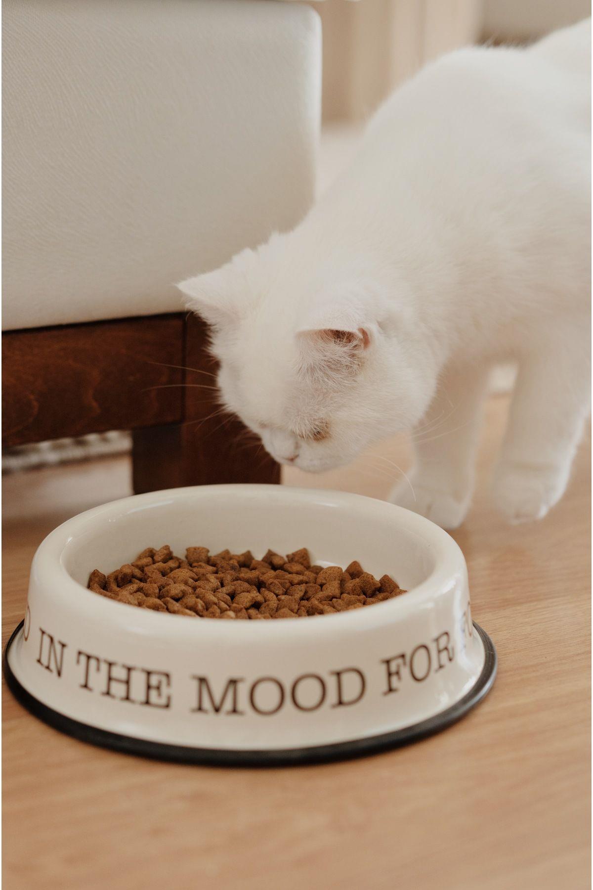Emaye Kedi Köpek Mama Ve Su Kabı (krem renk)