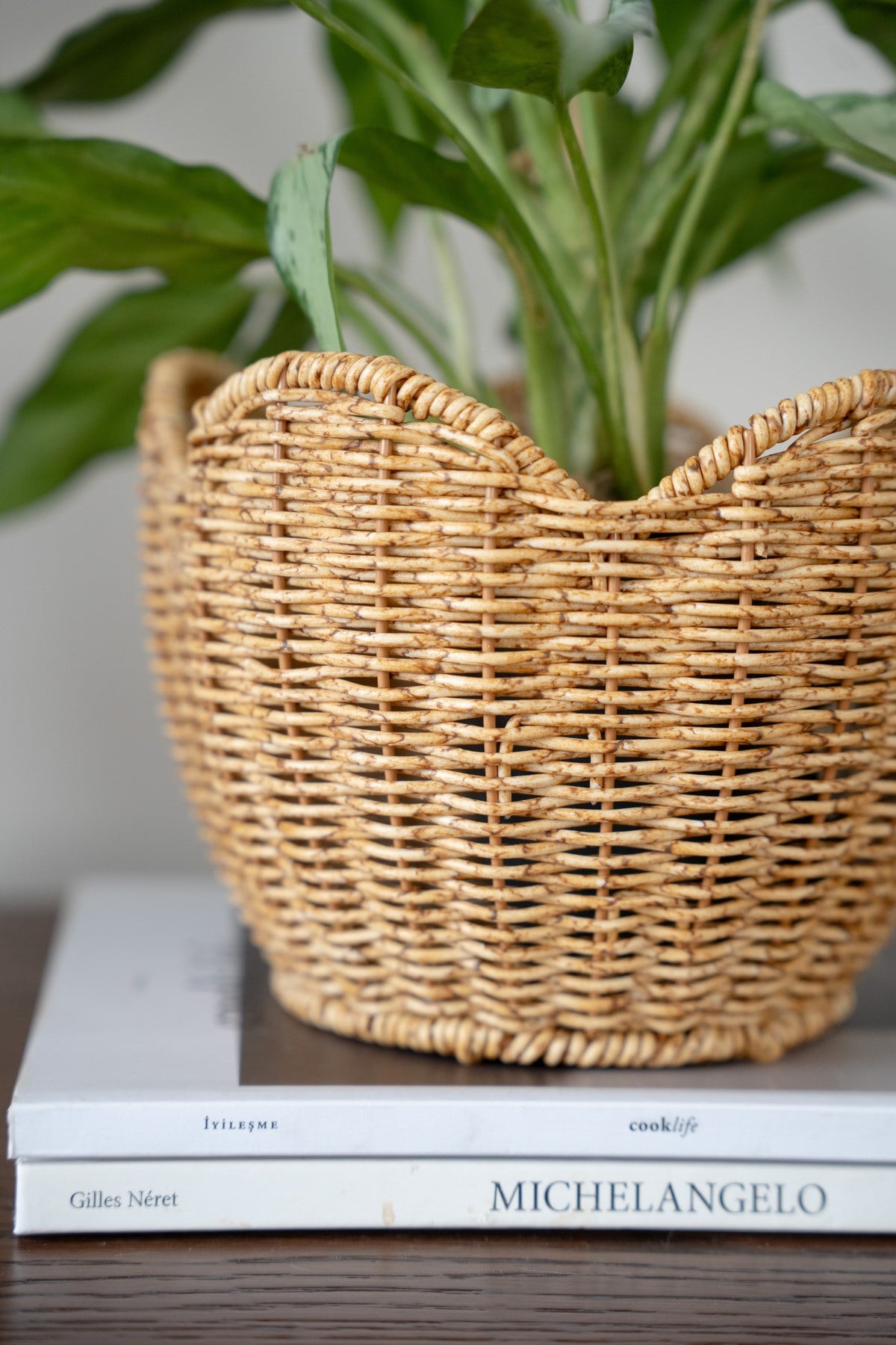 Rattan Çiçeklik & Meyvelik Sepet