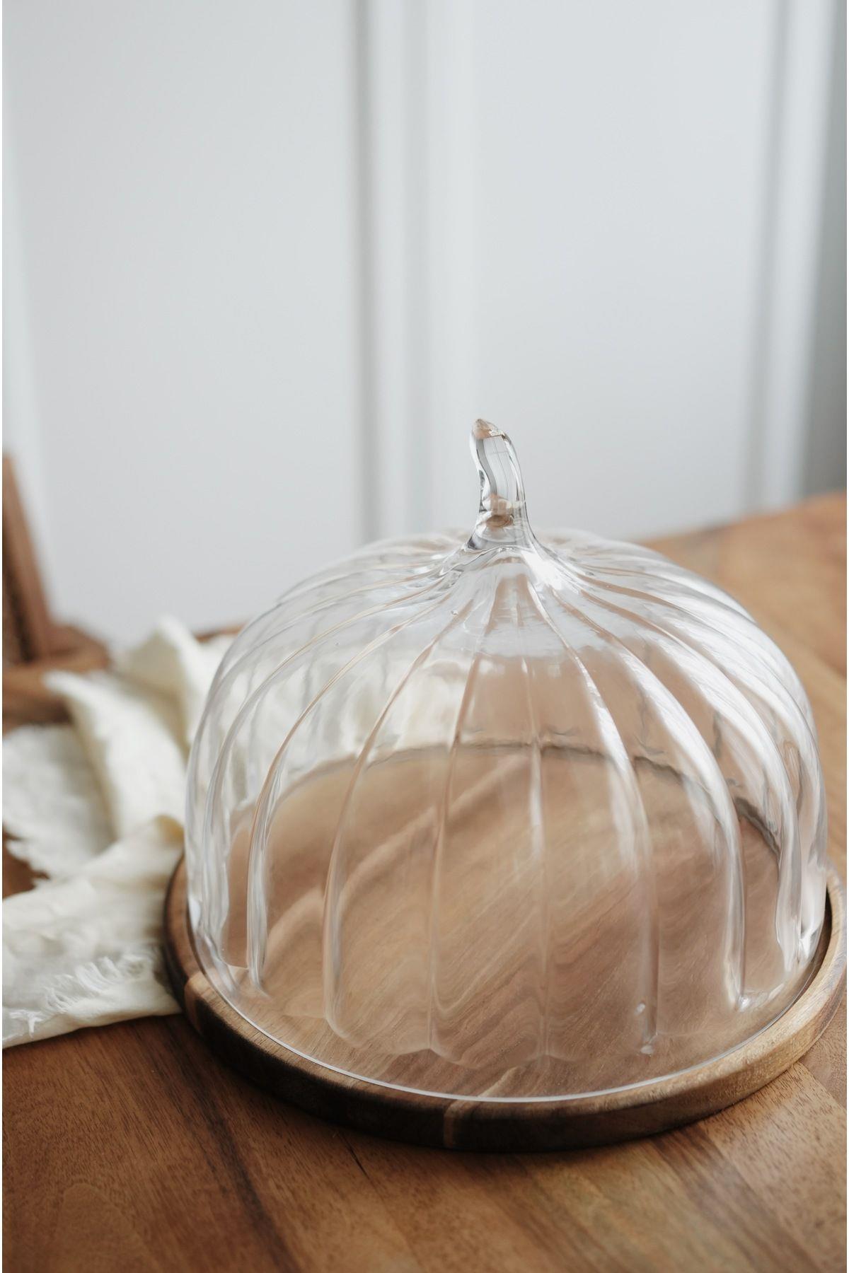 Terry Akasya Standlı Cam Kek Fanusu