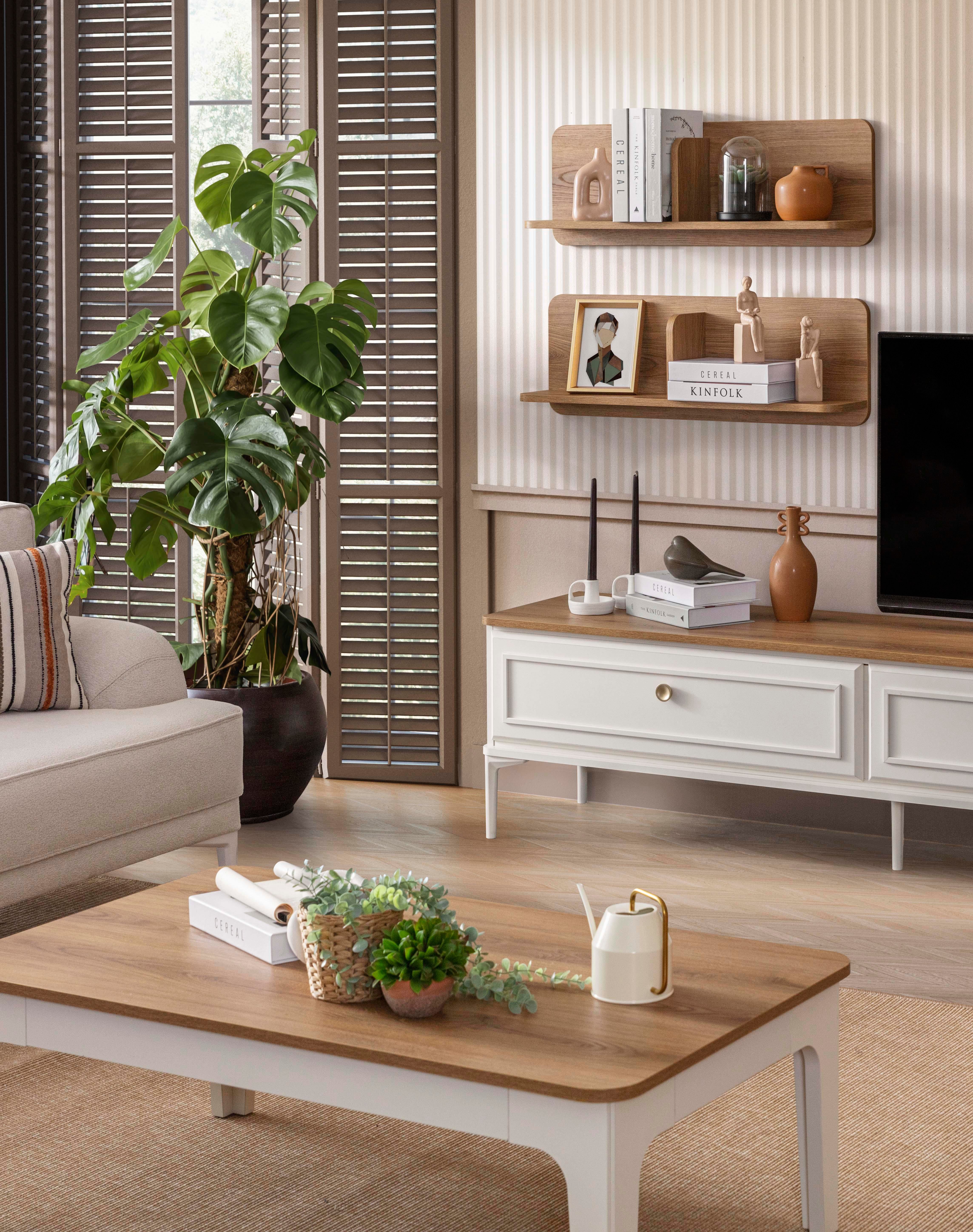 Modern Country Tv Ünitesi Takımı