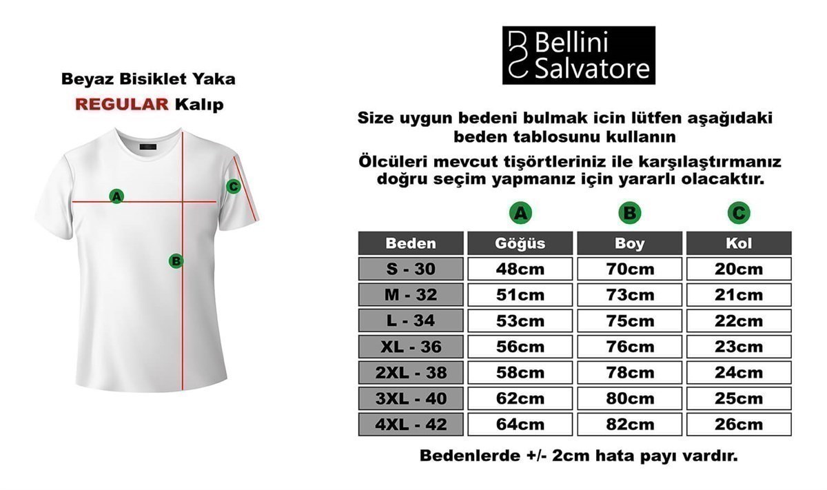 Pices Balık Burcu Baskılı Regular Normal Kalıp Tshirt
