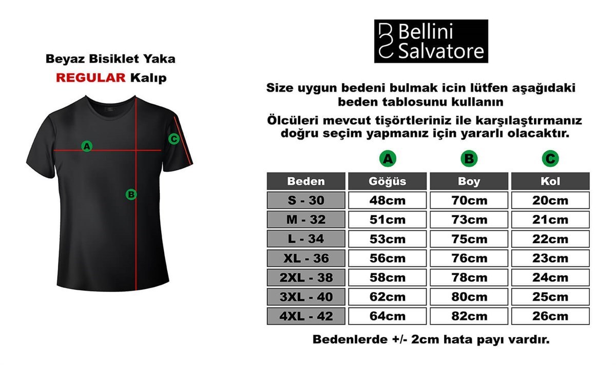 Pices Balık Burcu Baskılı Regular Normal Kalıp Tshirt