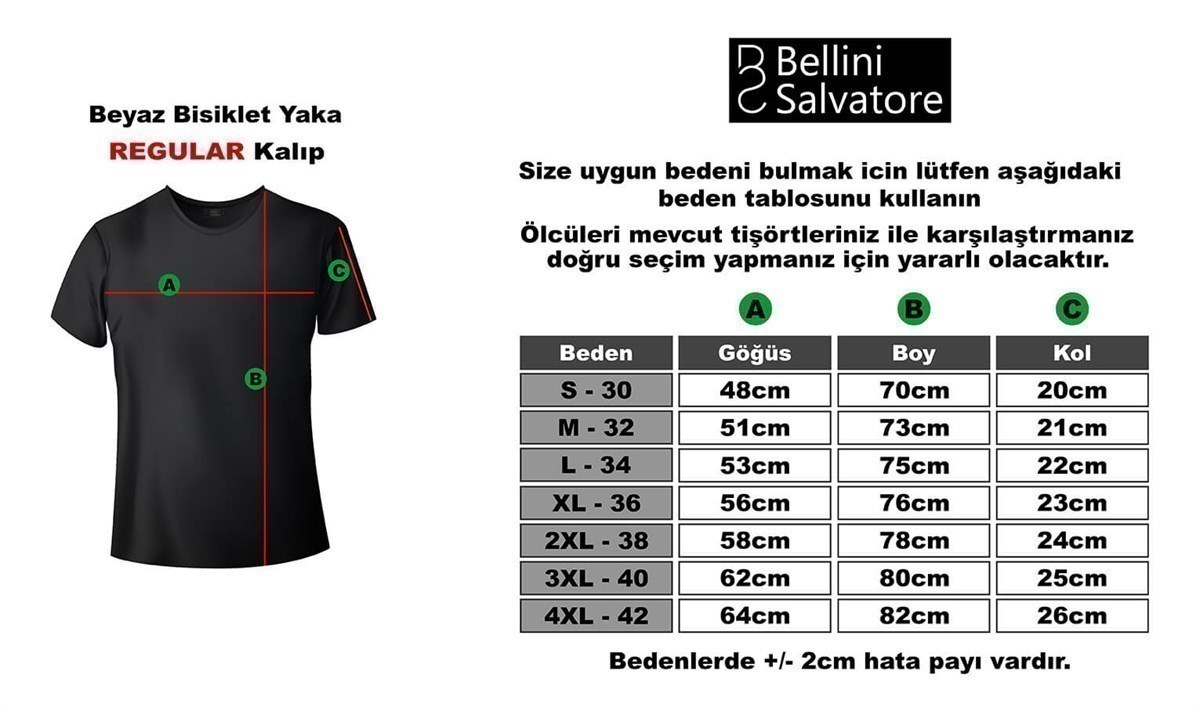 Pices Balık Burcu Baskılı Regular Normal Kalıp Tshirt