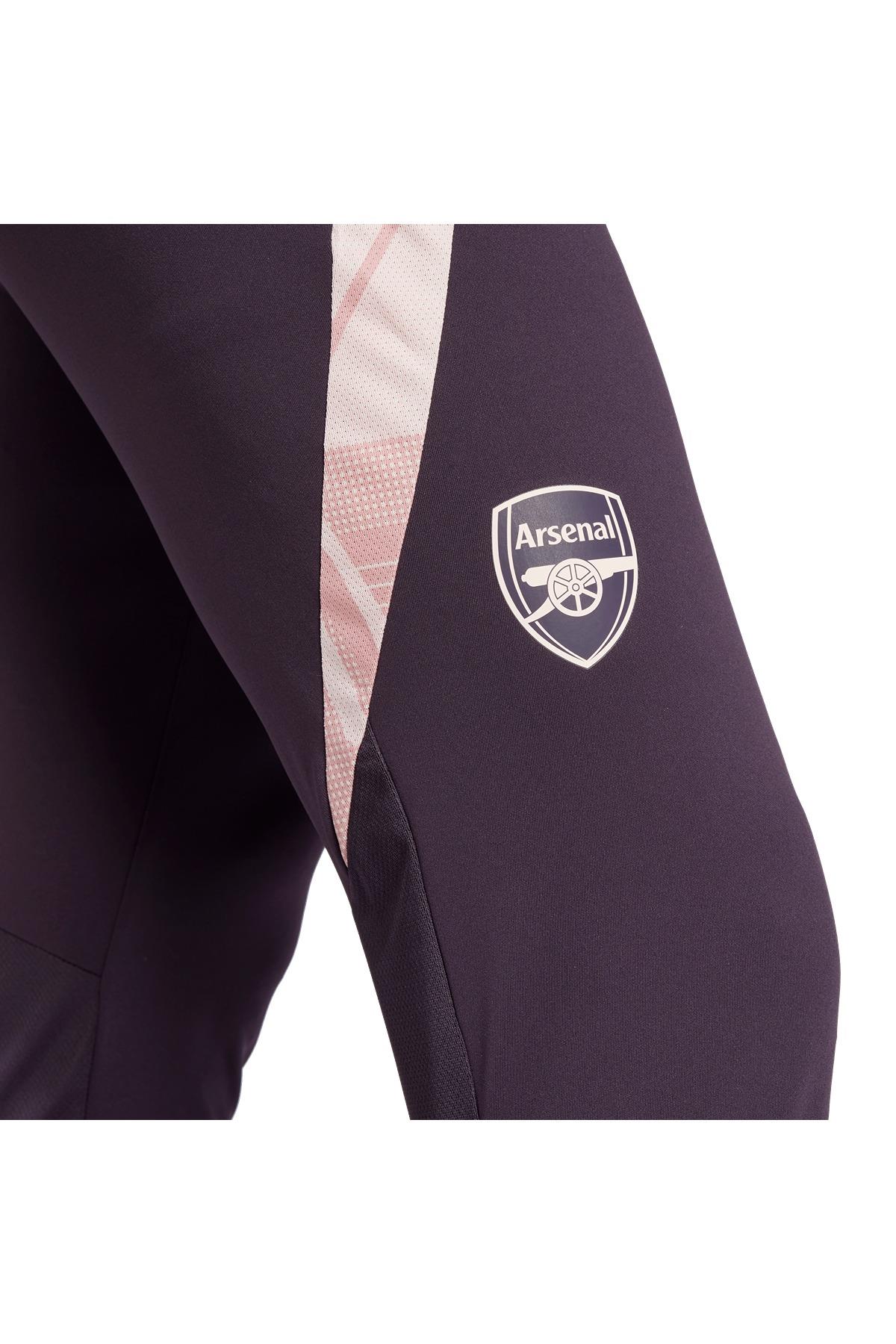 adidas AFC TR PNT Erkek  Mor  Eşofman Altı JF2916