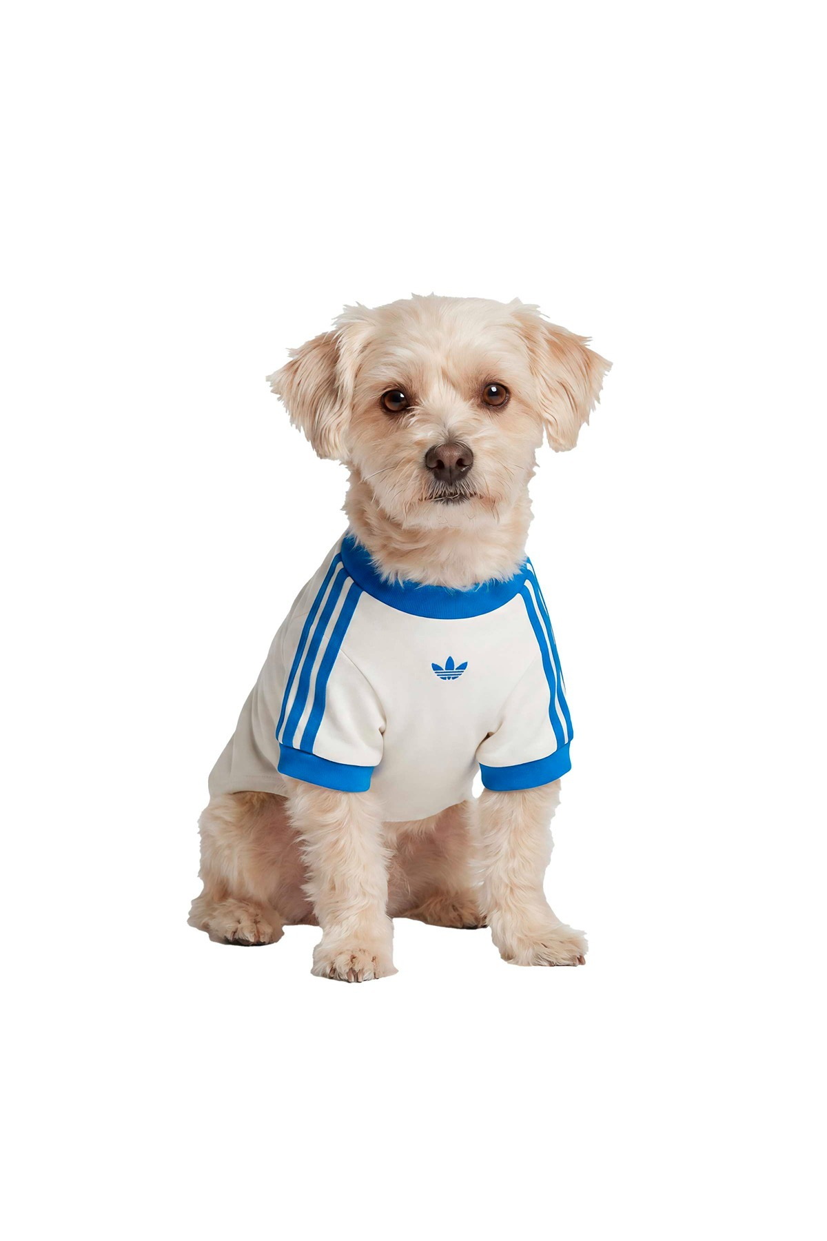 adidas Aksesuar  Beyaz  Köpek Kıyafeti PET CALI TEE KY8732