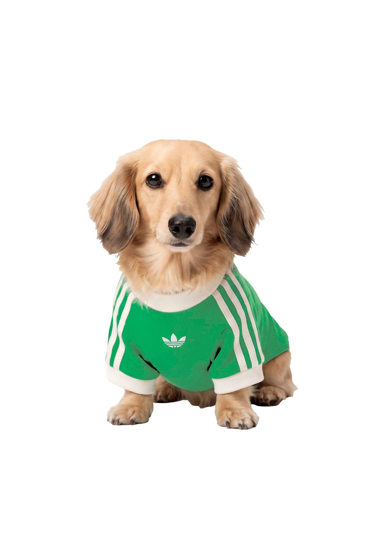 adidas Aksesuar  Yeşil  Köpek Kıyafeti PET CALI TEE KY8730