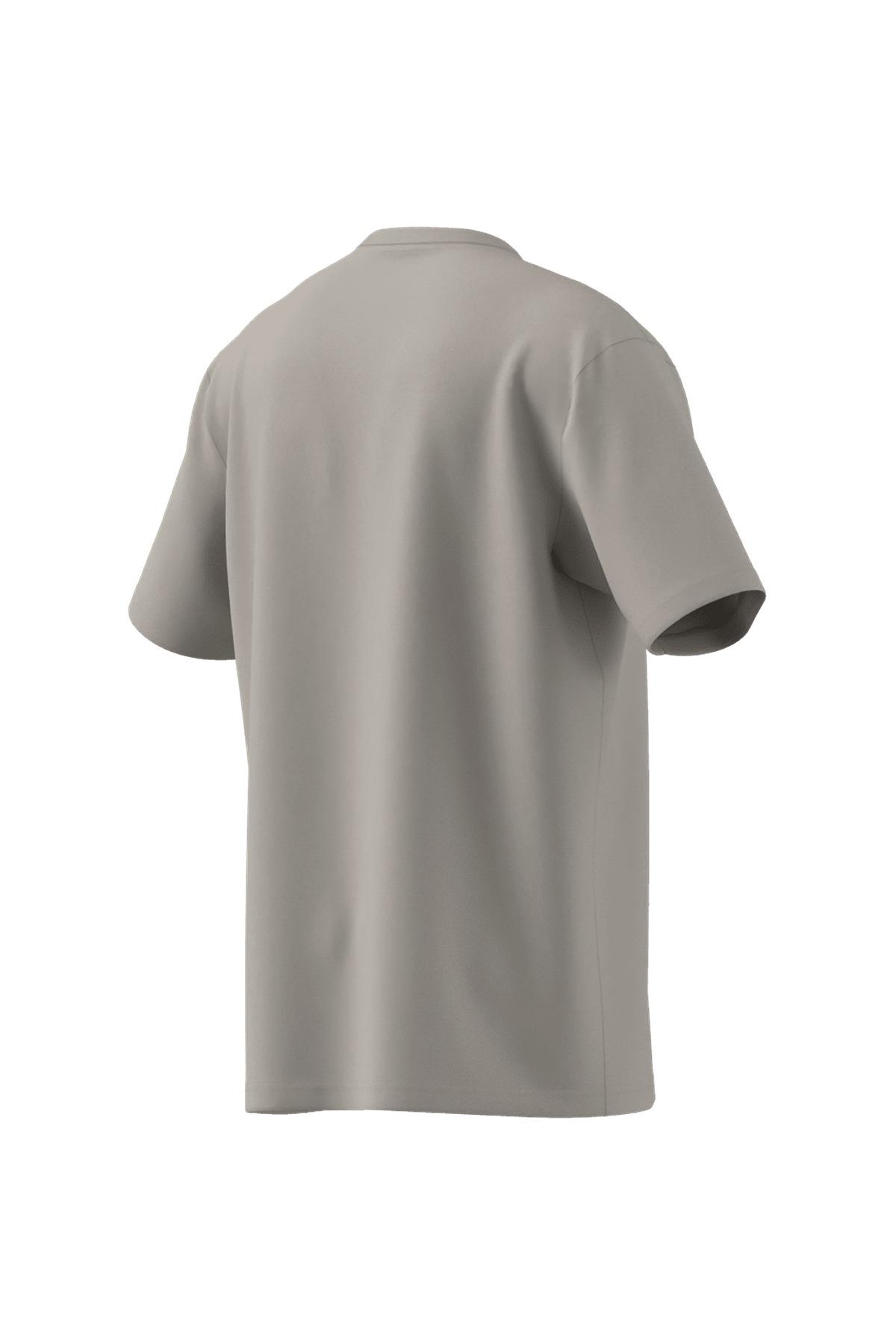 adidas Erkek  Bej  T-shirt GRAPHIC LO SS T JX8157