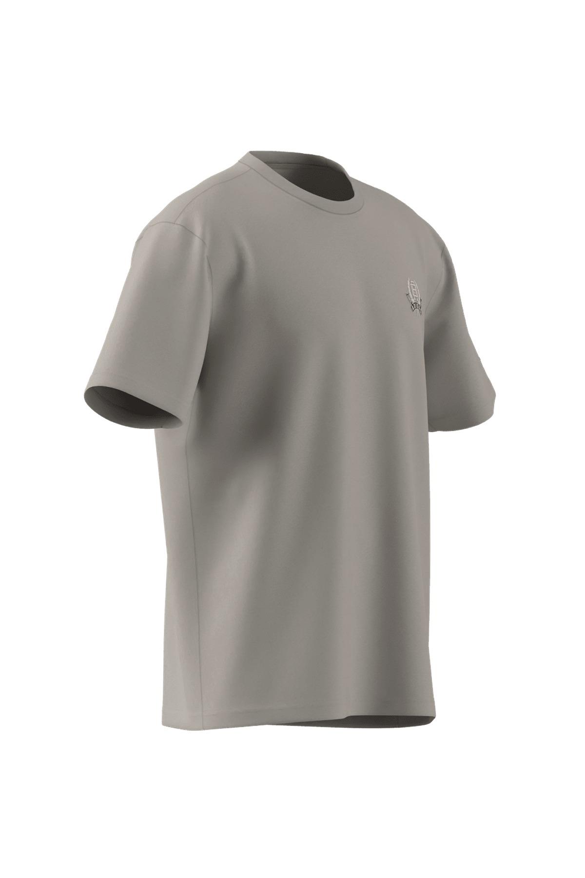 adidas Erkek  Bej  T-shirt GRAPHIC LO SS T JX8157